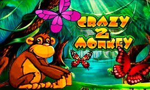 CrazyMonkey