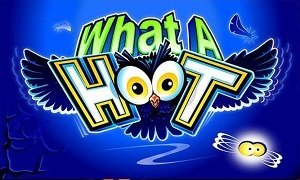 WhatAHoot
