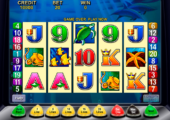 dolphin treasure aristocrat