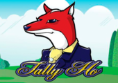 logo tally ho microgaming