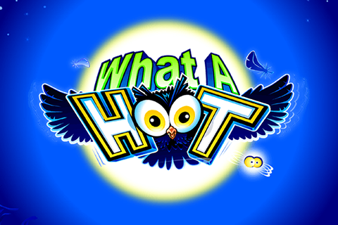 What a Hoot
