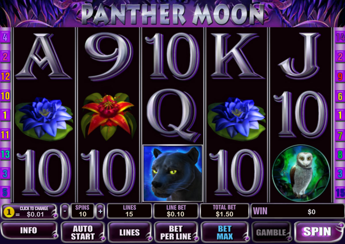 Panther Moon