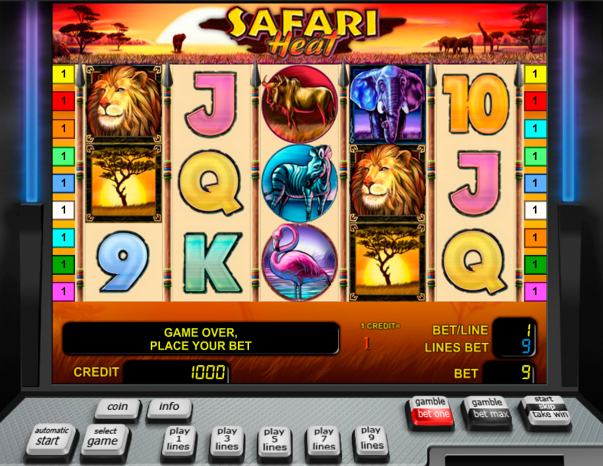 Safari Heat