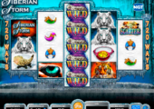 siberian storm igt