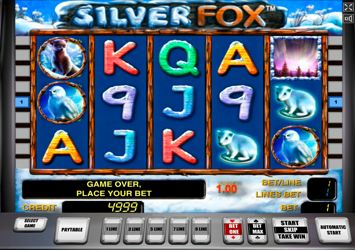 Silver Fox