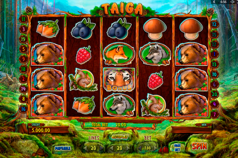 Taiga playson